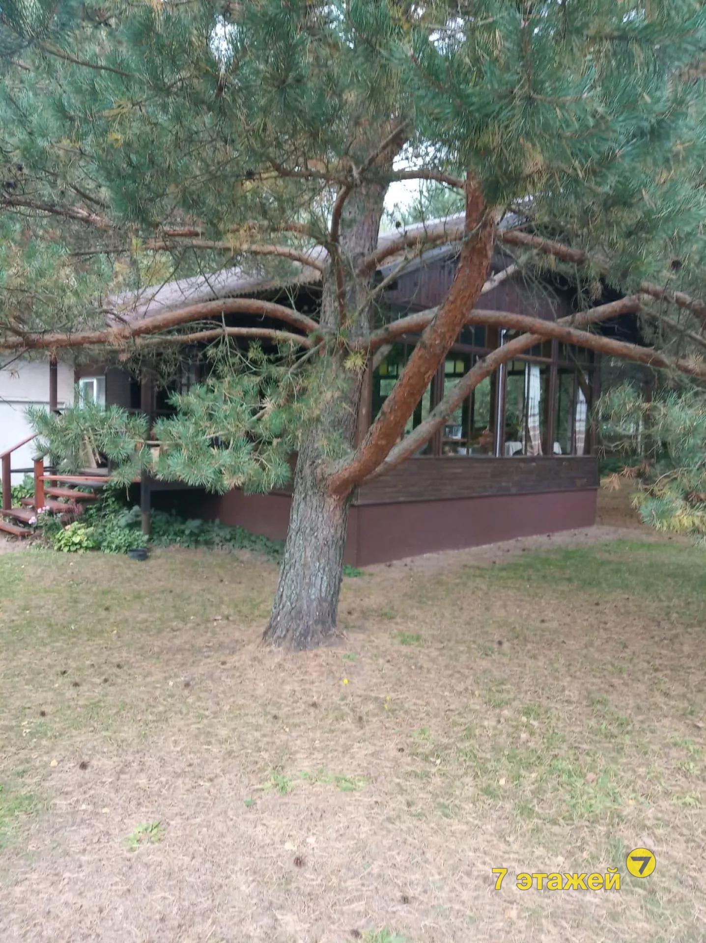 �����, ������ ��.