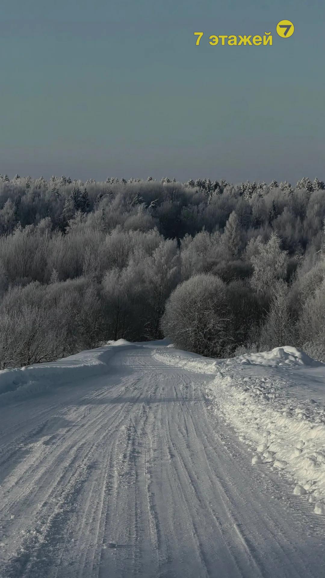 ����� ����, ����������� ���.