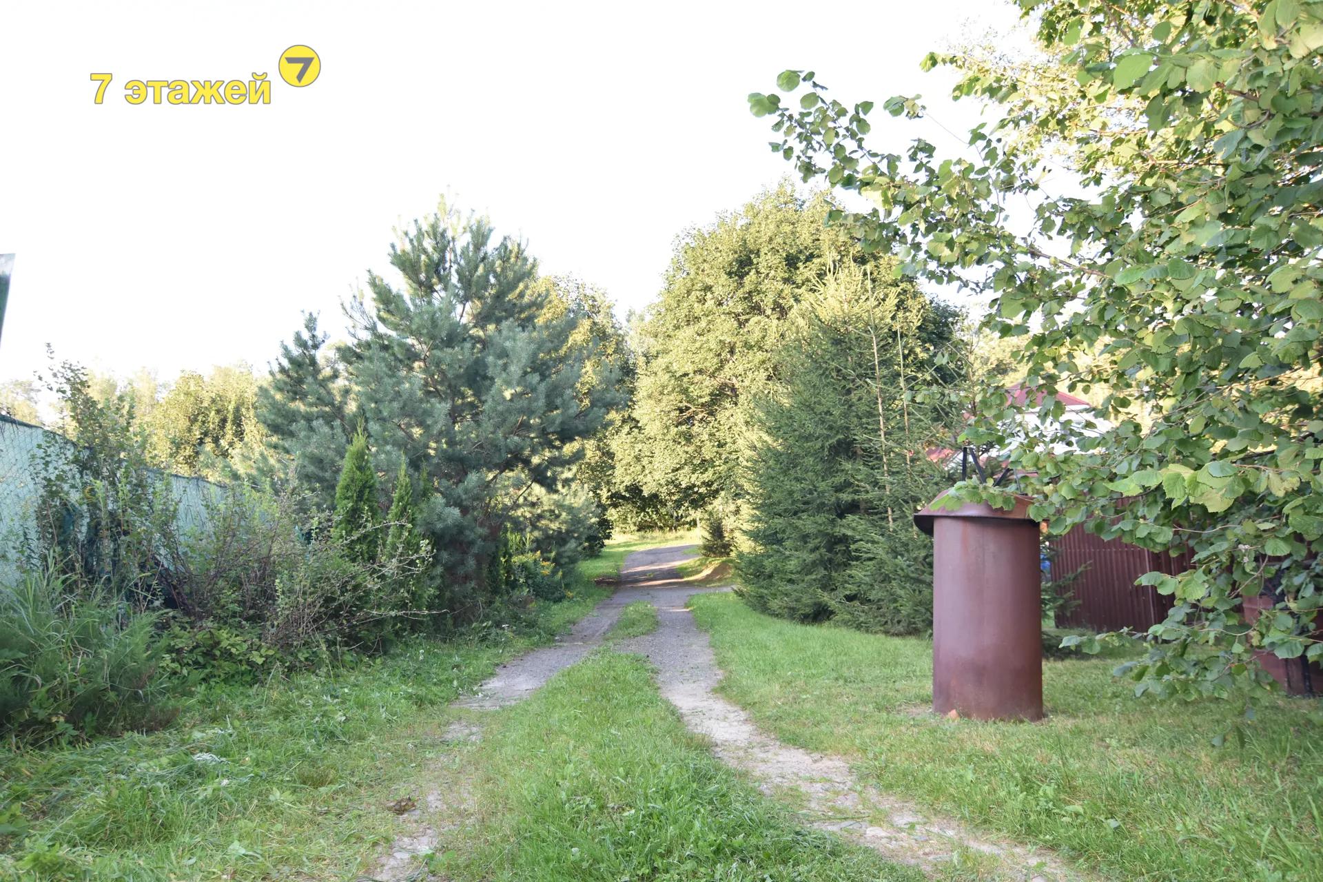 �����, ������ ��.