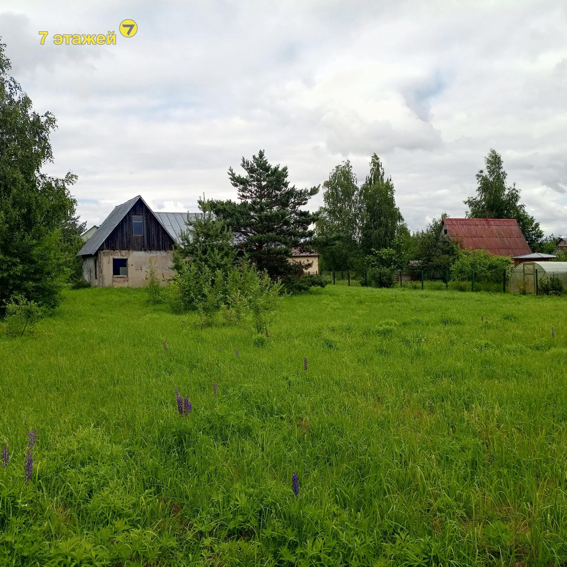 ��������� ����,