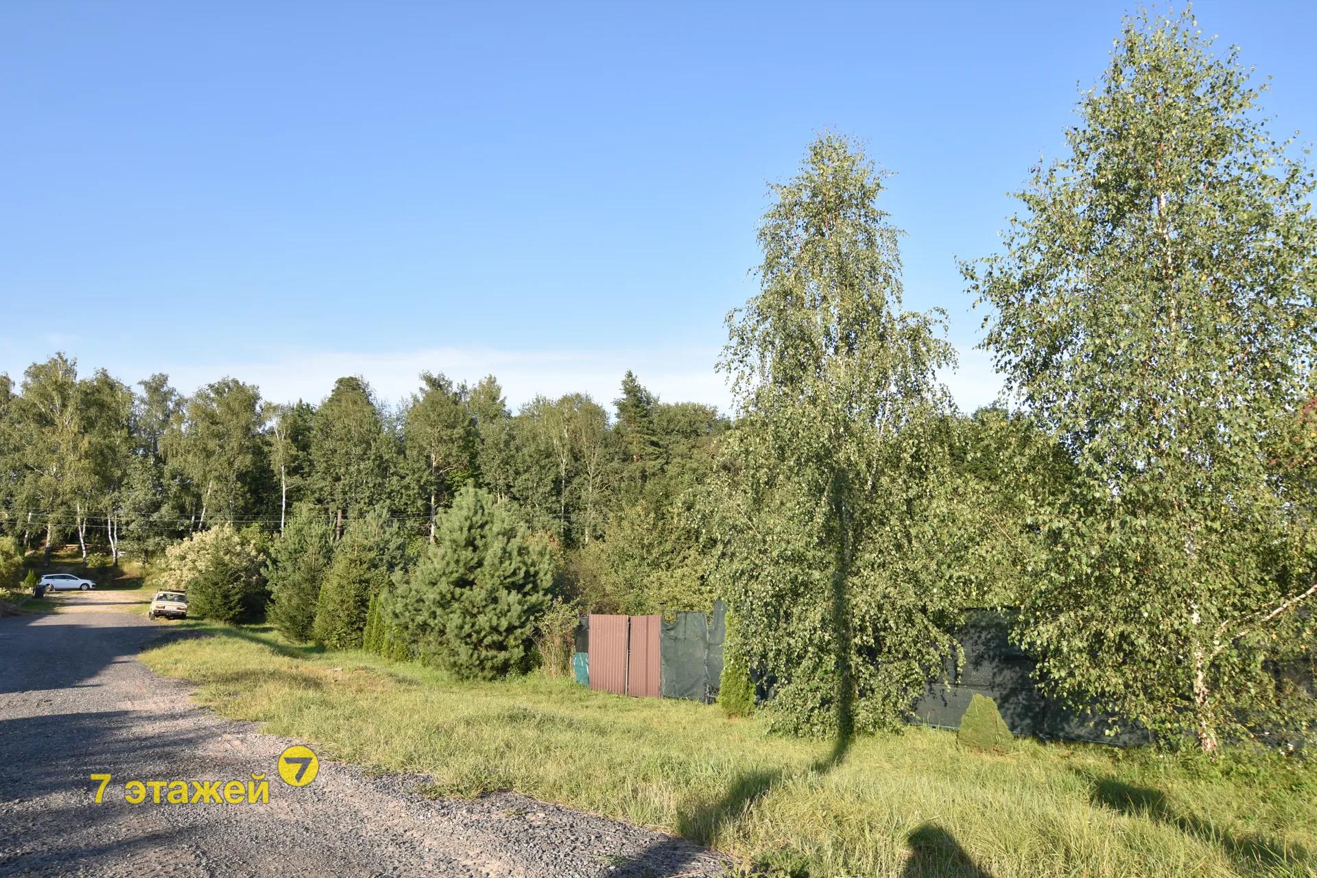 �����, ������ ��.