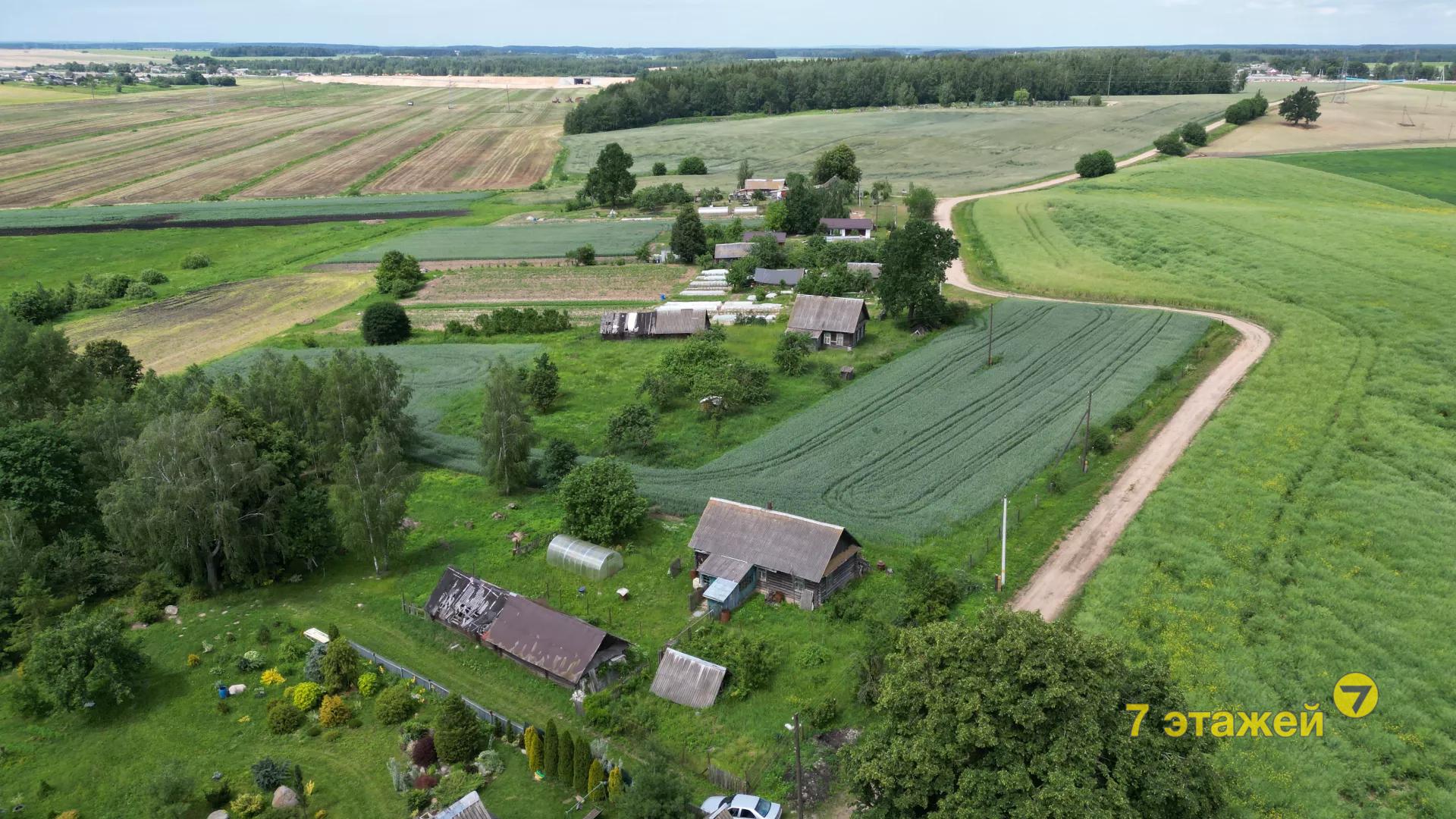 ������� �����,