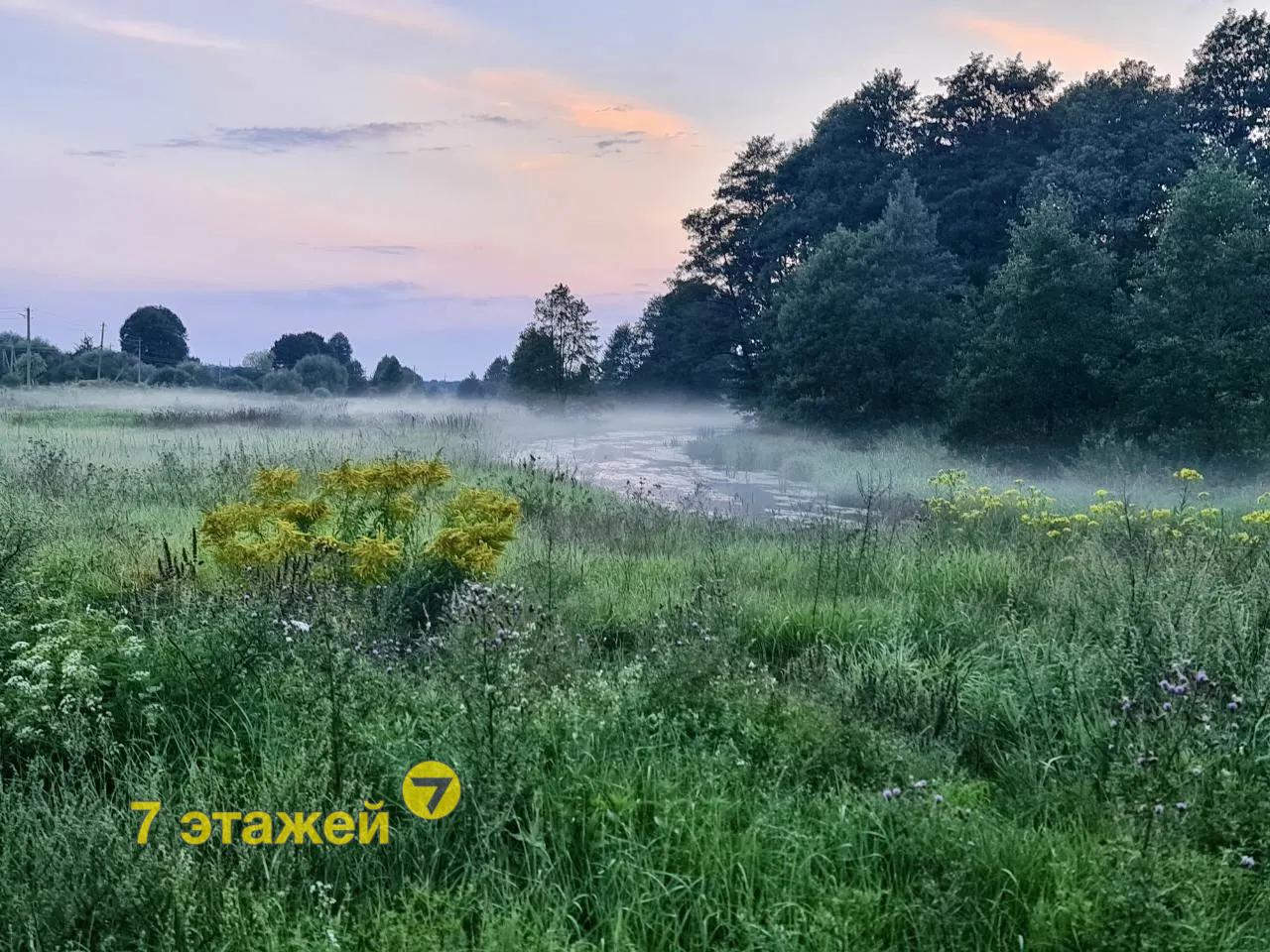 ���������, �������� ��.