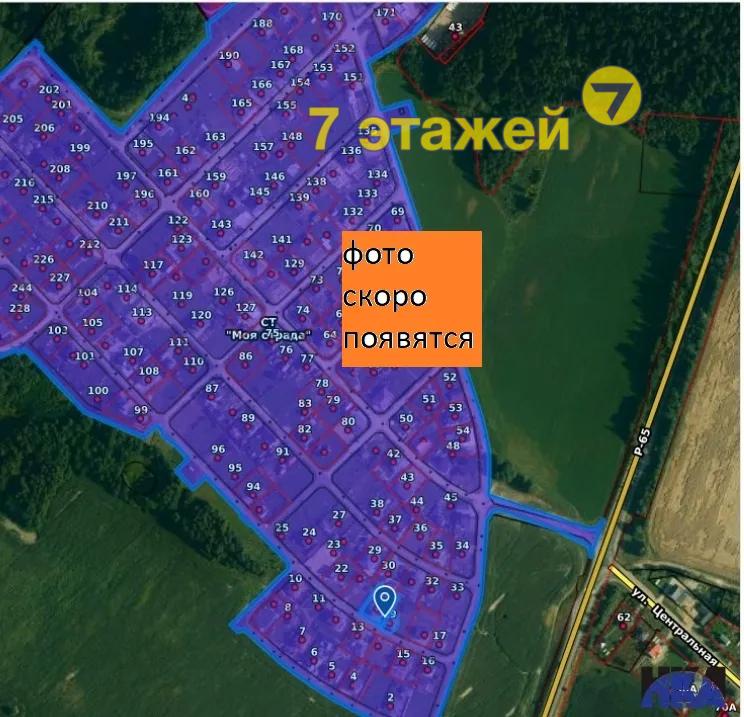 ��� ������,