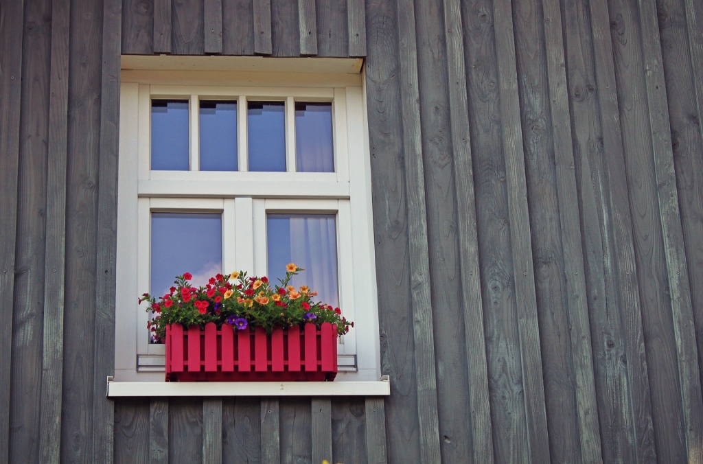 window-1601423_1920.jpg