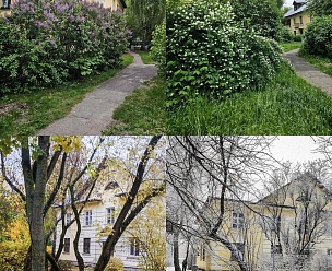 �����, ���������������� ��., �.36, 2-���. ��������, 2-����