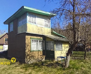 -81,